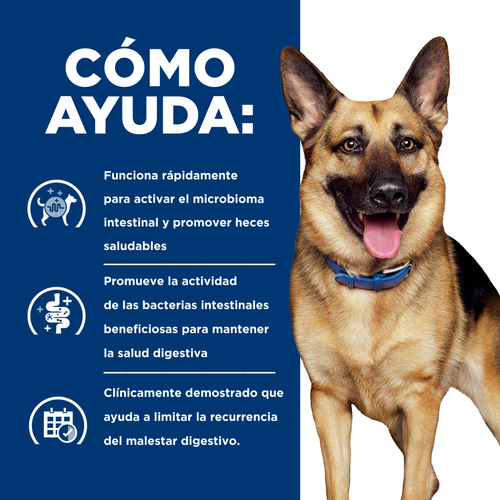 Hill's Gastrointestinal Biome Alimento Para Perro Cuidado Digestivo — imagen 6