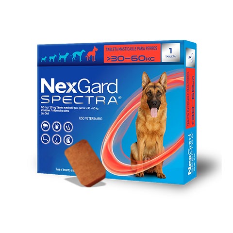 Nexgard Spectra perro XL  30-60 kg /1 tab